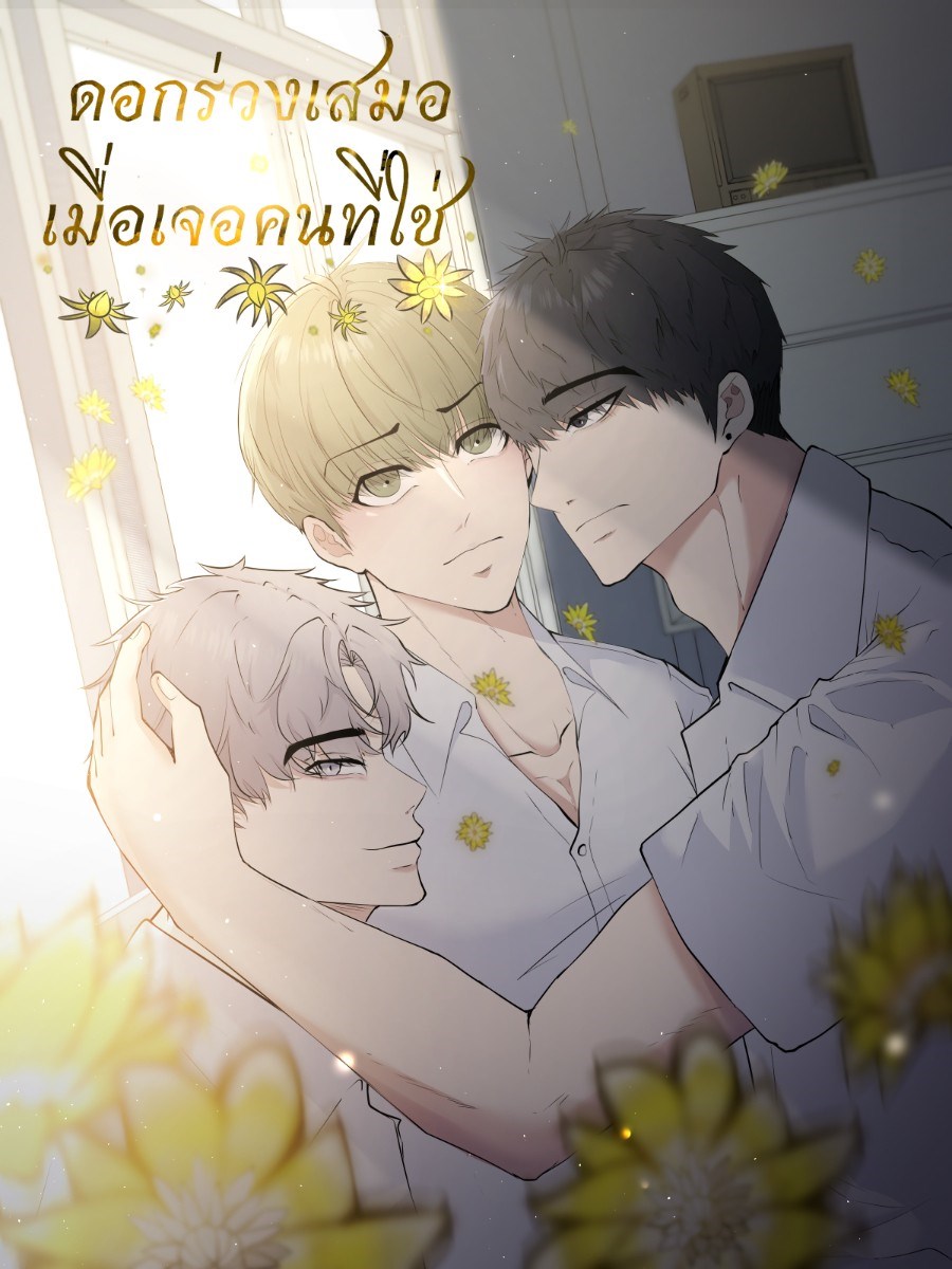 ดอกร่วงเสมอเมื่อเจอคนที่ใช่